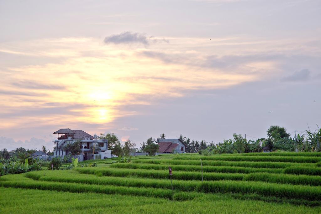 Paddy View Villa Кута Экстерьер фото