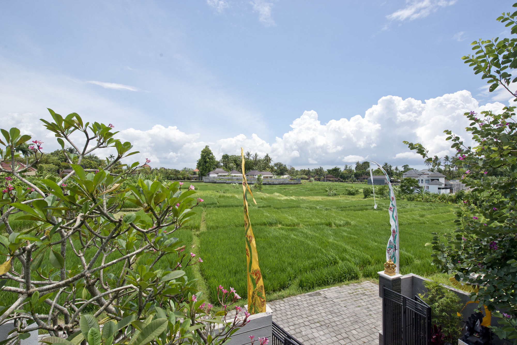 Paddy View Villa Кута Экстерьер фото